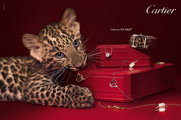 Пантеры, тигры и гепарды в ювелирных украшениях от Cartier (Картье)