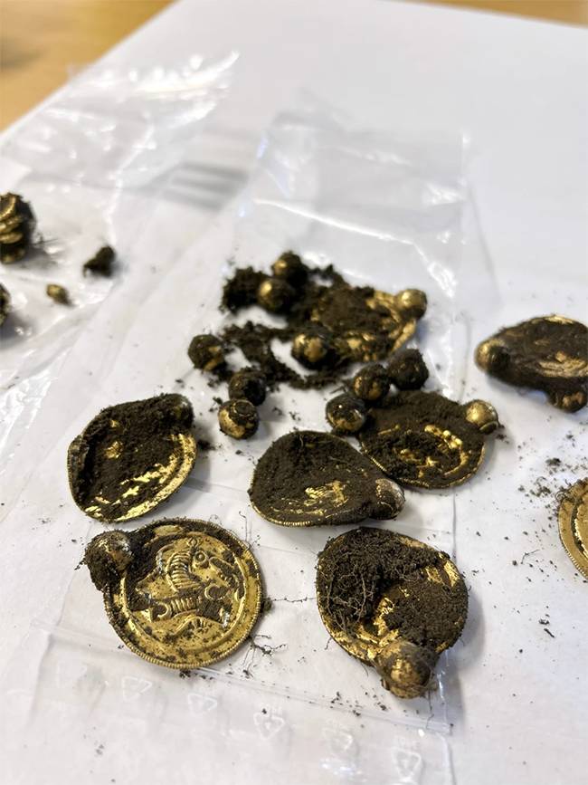 Три золотых кольца, девять золотых медальонов и золотые жемчужины, которые, как считается, когда-то составляли экстравагантное ожерелье.